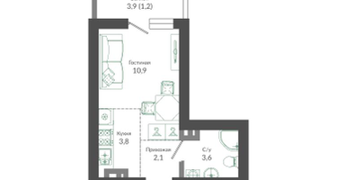 Студия, 21&nbsp;м²