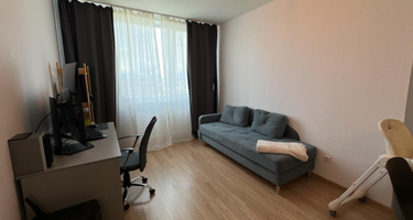 Студия, 24,6 м²