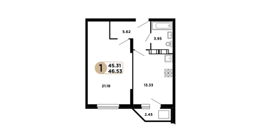 1-к. квартира, 45&nbsp;м²