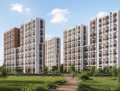 Новоград Павлино 1