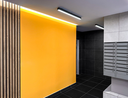 Финский залив 1