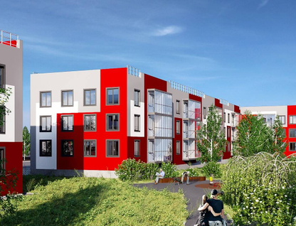 Новокасимово / Цветы 1