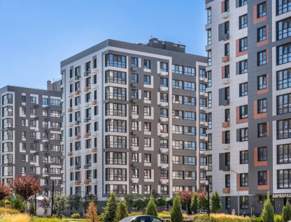 Пальмира 2.0 1