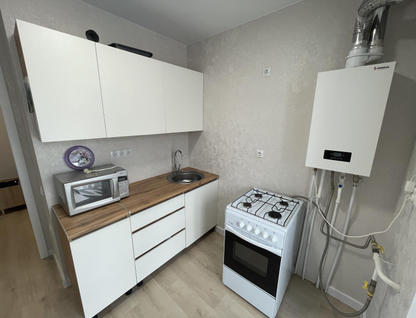 1-к. квартира, 30,1&nbsp;м²