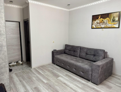Студия, 24&nbsp;м²