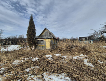 Одноэтажная дача, 25 м²