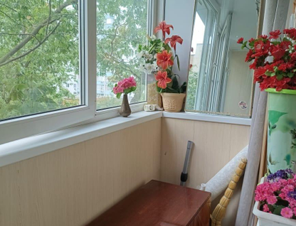1-к. квартира, 24&nbsp;м²