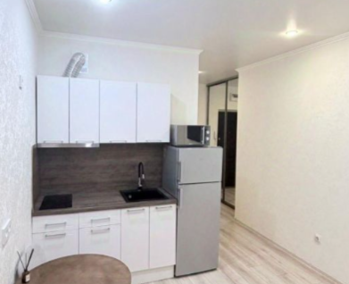Студия, 25&nbsp;м²