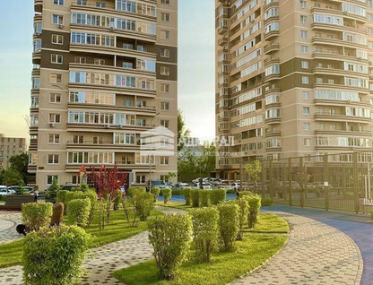 Студия, 25,6&nbsp;м²