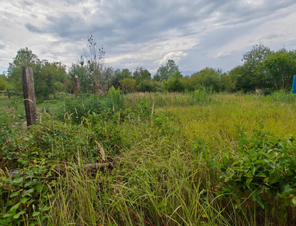 Участок (садоводство), 6 сот.