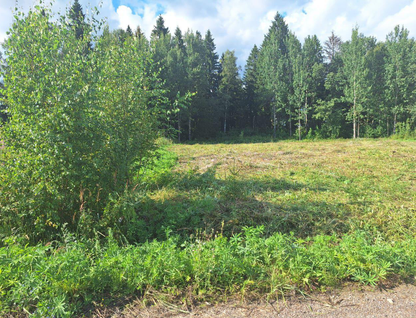 Участок (промназначения), 12 сот.