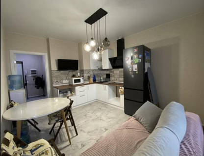 1-к. квартира, 49,2 м²