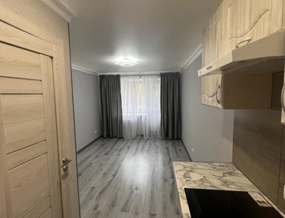 Студия, 17&nbsp;м²