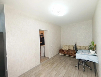 1-к. квартира, 25,8 м²