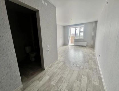 Студия, 24&nbsp;м²
