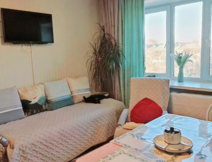 2-к. квартира, 27&nbsp;м²