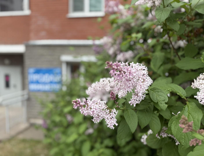 Помещение свободного назначения, 58,6&nbsp;м²