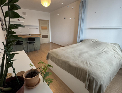 Студия, 33,8&nbsp;м²