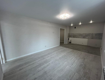 1-к. квартира, 52,8 м²