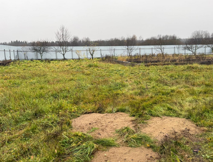 Участок (личное подсобное хозяйство), 16 сот.