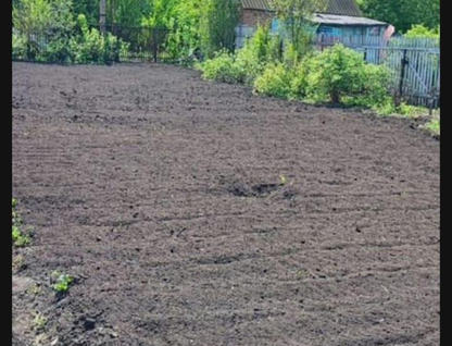 Одноэтажная дача, 63 м²