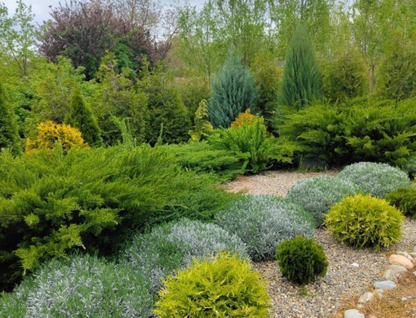 Одноэтажный дом, 46 м²