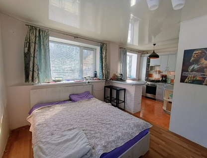 1-к. квартира, 30,2&nbsp;м²