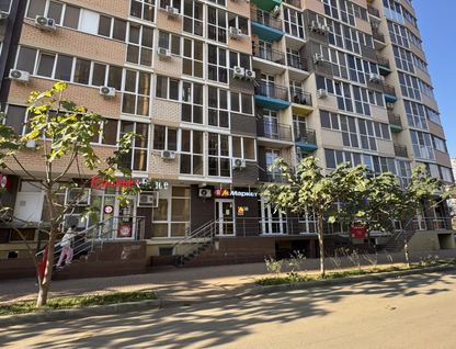 Студия, 24&nbsp;м²