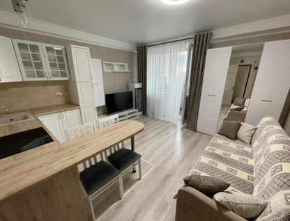 Студия, 24,9&nbsp;м²