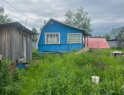 Одноэтажная дача, 45 м²