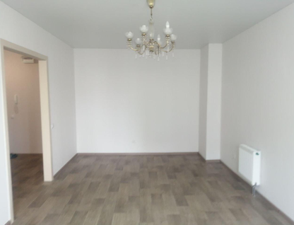 1-к. квартира, 46&nbsp;м²