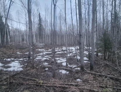 Участок (ижс), 14 сот.