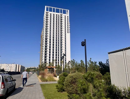 Студия, 31&nbsp;м²