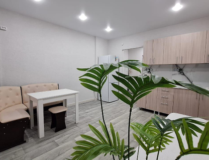 Студия, 24,2&nbsp;м²