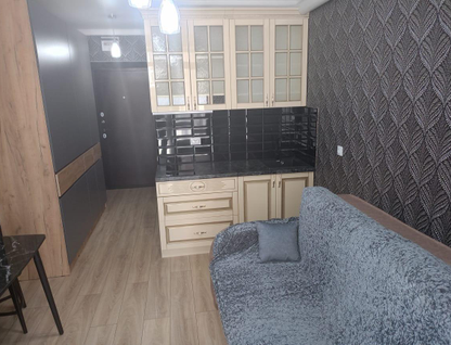 Студия, 19,5&nbsp;м²