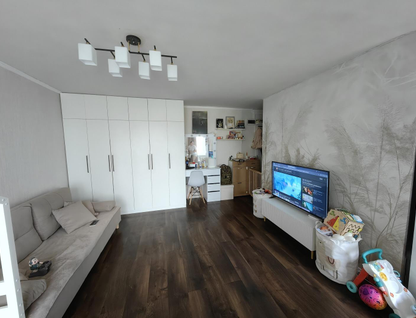 Студия, 30&nbsp;м²