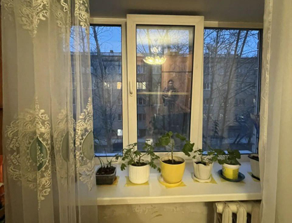 Комната, 29&nbsp;м²