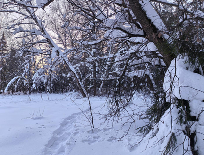 Участок (ижс), 9,7 сот.