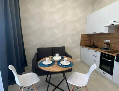 Студия, 27,3 м²