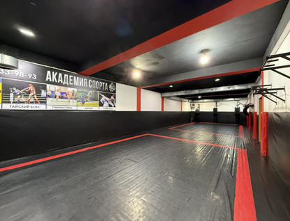 Помещение свободного назначения, 410&nbsp;м²