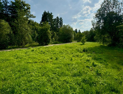 Участок (земля днп), 8 сот.