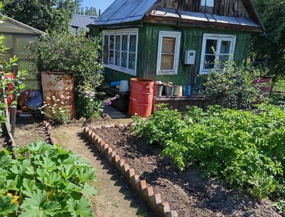 Участок (садоводство), 3,1 сот.