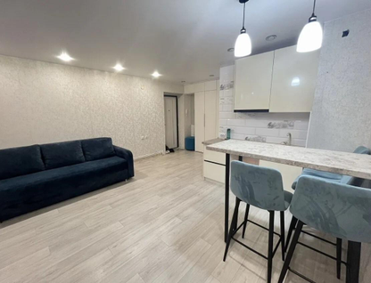 1-к. квартира, 24,5&nbsp;м²