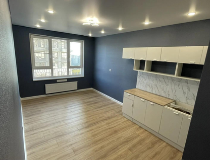Студия, 24,1 м²