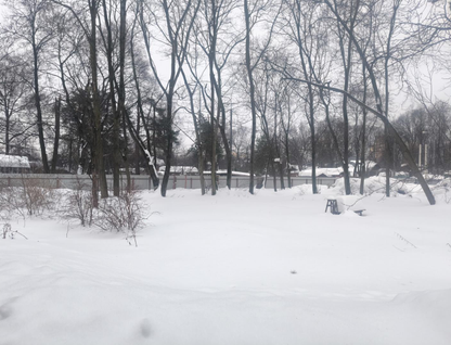 Участок (ижс), 6 сот.