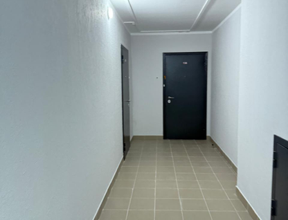 1-к. квартира, 33&nbsp;м²