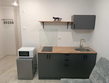 1-к. квартира, 17&nbsp;м²