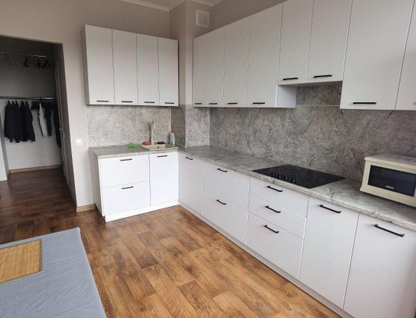1-к. квартира, 43,2&nbsp;м²