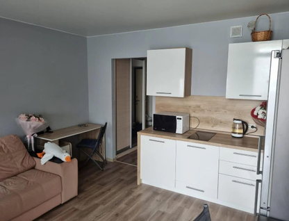 Студия, 25 м²