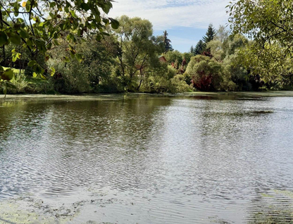 Участок (личное подсобное хозяйство), 8,5 сот.